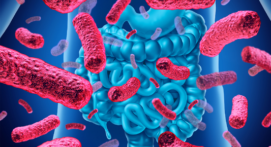 Top Health Benefits of Probiotics Supplements: Boost Your Gut Health Naturally