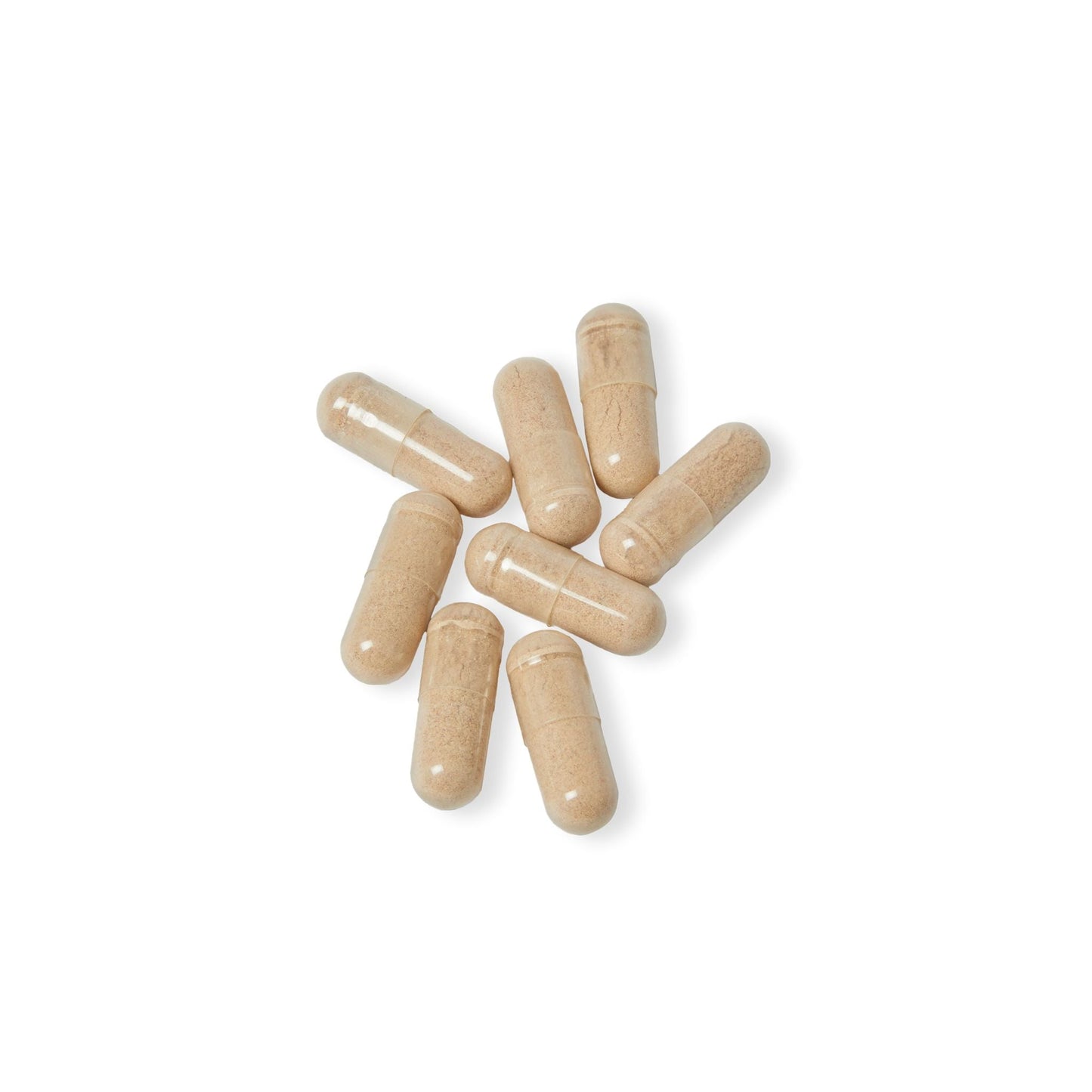 VECEDOR Brain Support Complex Supplement (60 Capsules) VECEDOR