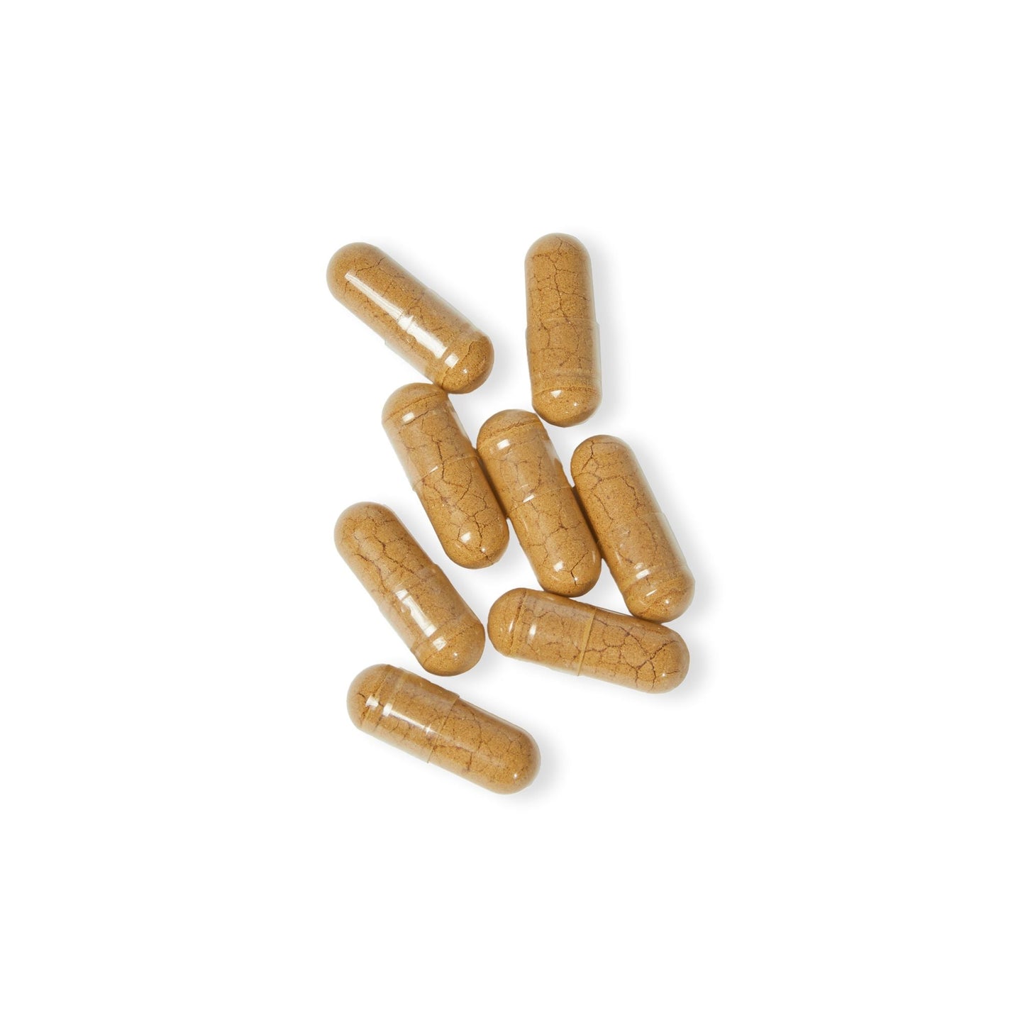 VECEDOR Mushroom Blend Supplement (60 Capsules) VECEDOR