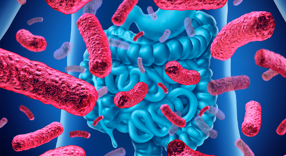 Top Probiotic Supplements Benefits for Naturally Boosting Gut Health
