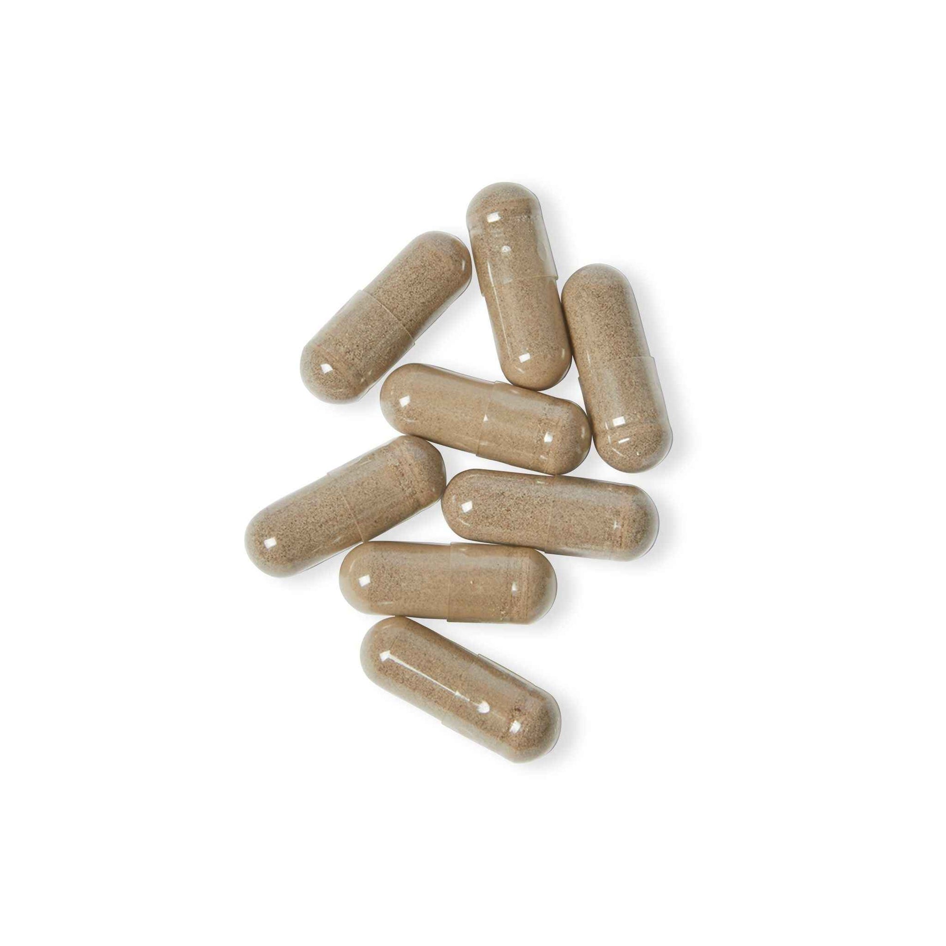 VECEDOR Sea Moss Supplement - 60 Capsules for Immune Support and Vitality
