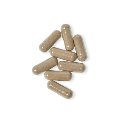 VECEDOR Sea Moss Supplement - 60 Capsules for Immune Support and Vitality
