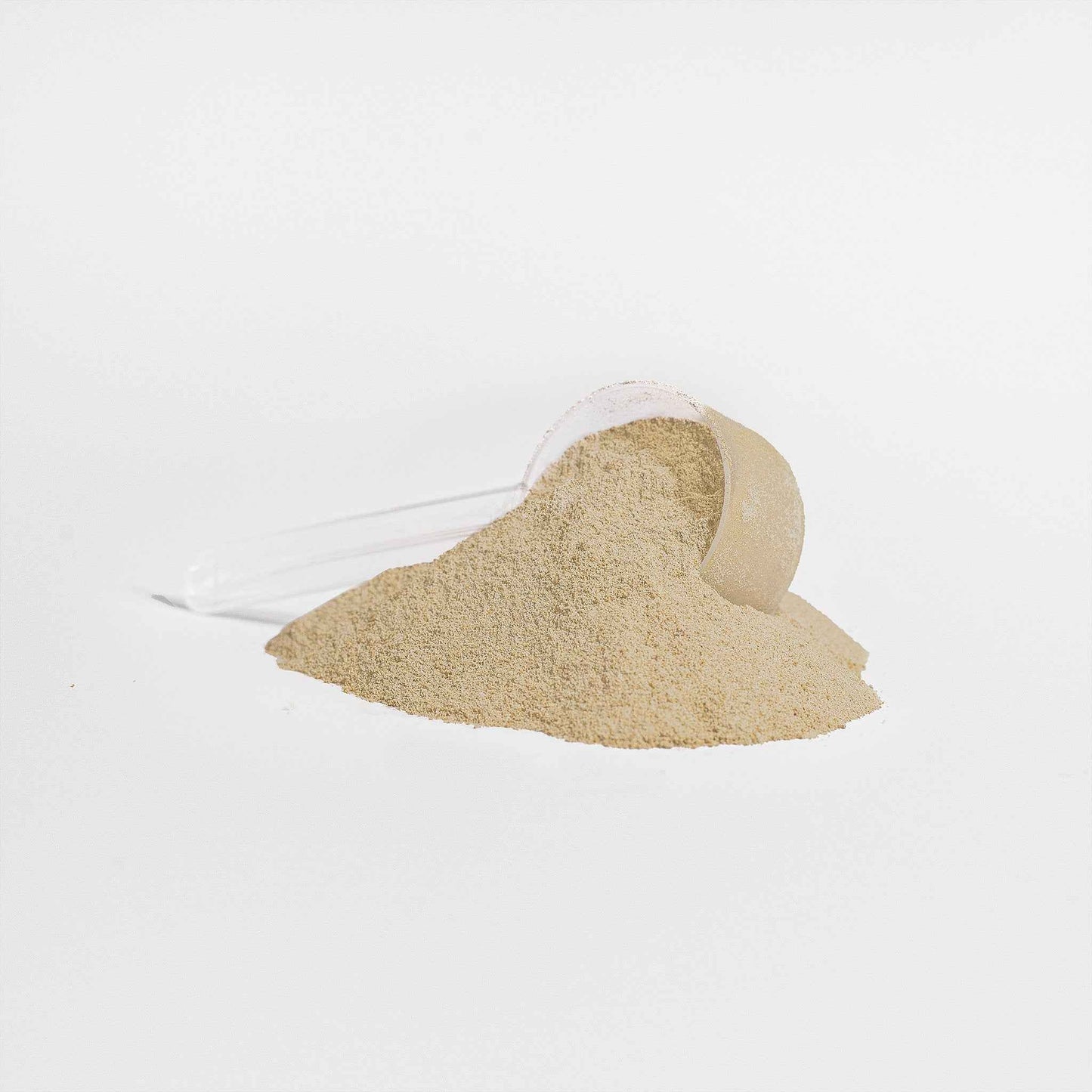 VECEDOR Advanced 100% Whey Protein Isolate – Vanilla | Fast Absorption & Lean Muscle Support