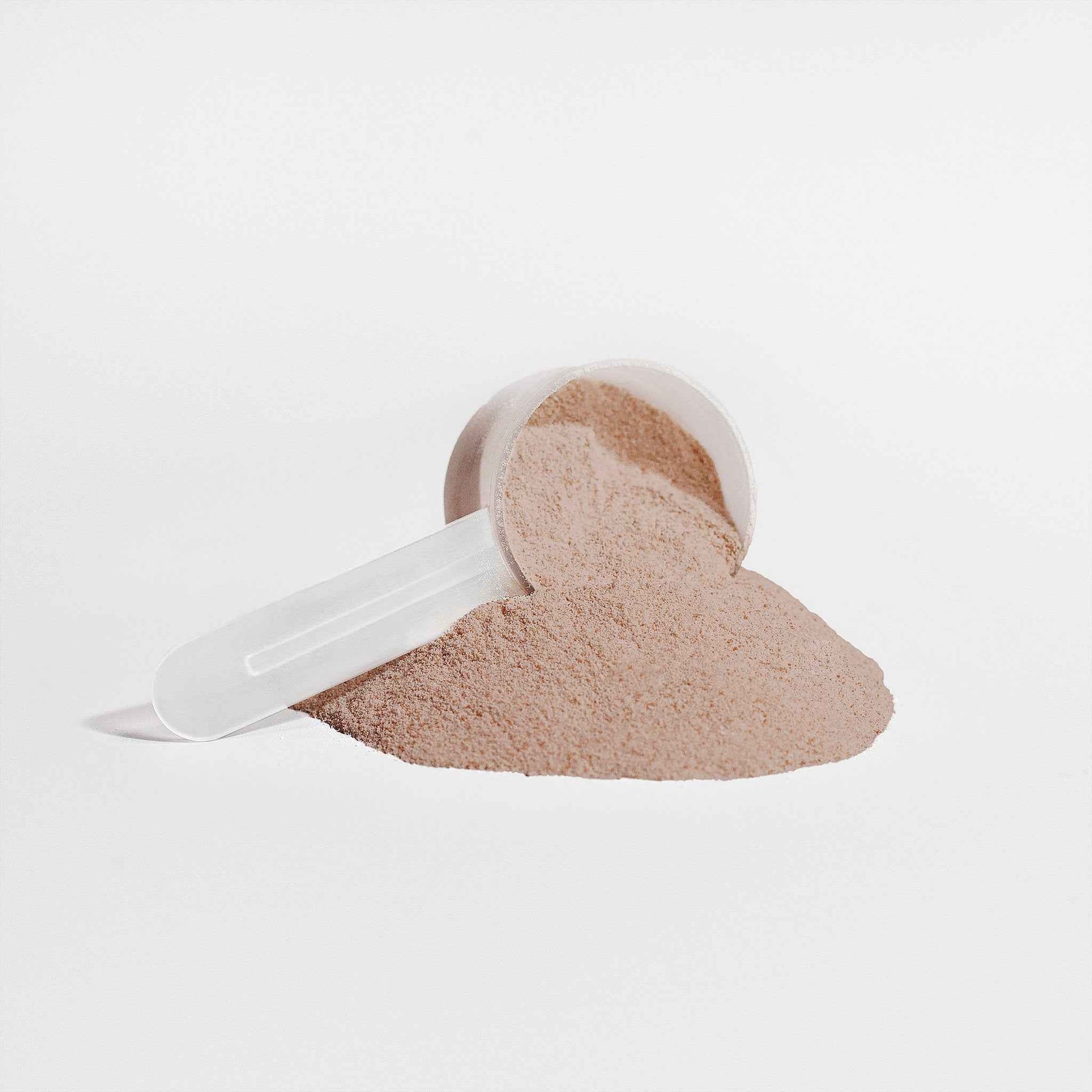 VECEDOR Plant Protein (Chocolate)