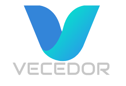 VECEDOR LLC